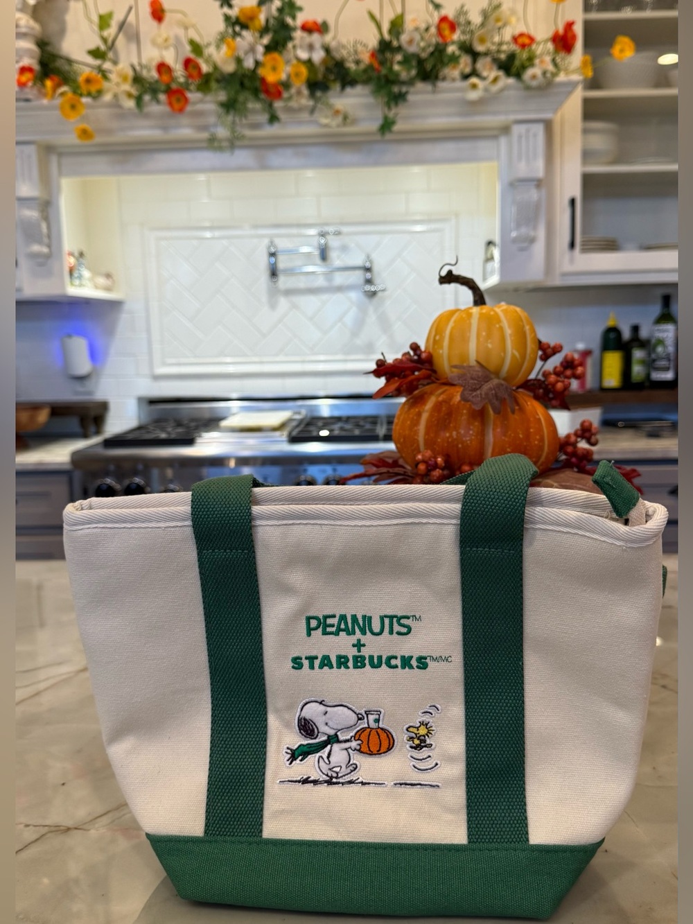 Authentic Starbucks x Peanuts Green & White Canvas Tote